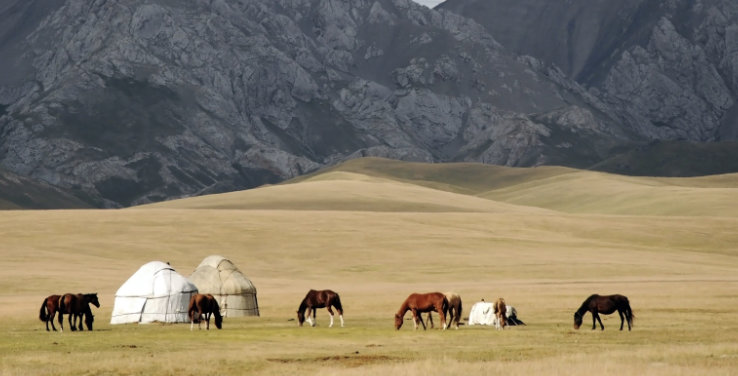Destinations Kirghizistan : expédition à cheval dans les montagnes et plaines sauvages d'Asie Centrale.